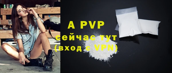apvp Алзамай