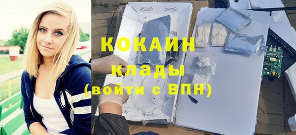 apvp Алзамай